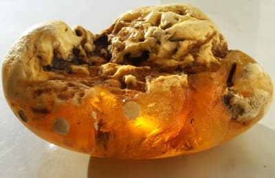 Bryłka bursztynu naturalnego