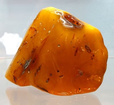 Bryłka bursztynu naturalnego - z wystawy w Muzeum Ziemi PAN w Warszawie 