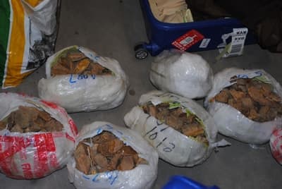 Obywatel Chin próbował przemycić ponad 44 kg bursztynu