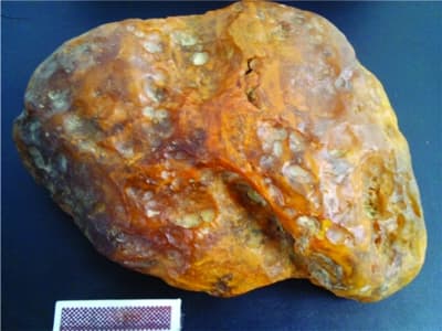 Bryła bursztynu bałtyckiego o wadze 1439 g