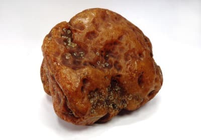 Rekordowa w polskich zbiorach bryła bursztynu