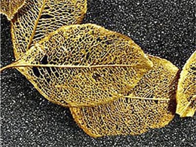 Najlepszy wyrób wystawy Designed in Poland w Pradze