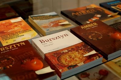 Jednym z celów statutowych MSB jest działalność wydawnicza