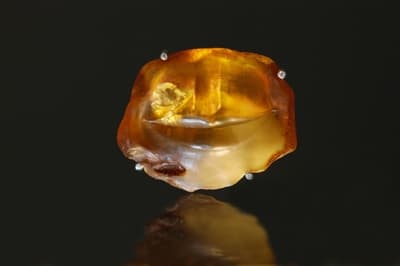 Brosza "Bursztynowe Usta"