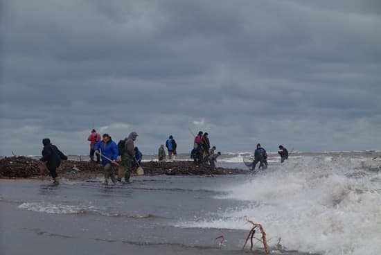 Poławiacze bursztynu