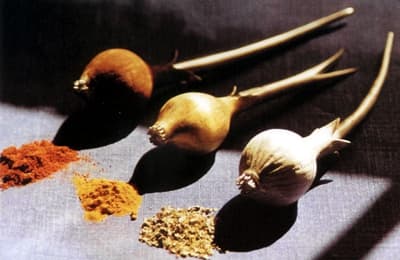 Praca Lucyny i Marka Nieniewskich