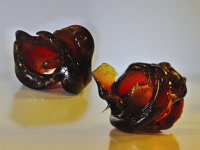 Bożena Czarnecka: Grand Prix 