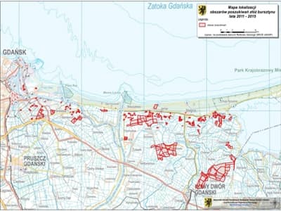 Mapa lokalizacji obszarów poszukiwań złóż bursztynu w latach 2011-2015