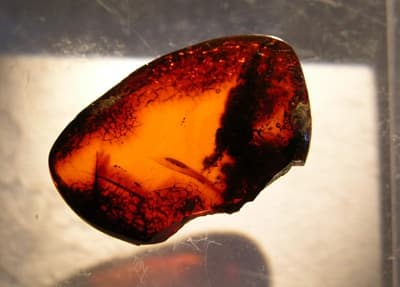 Wśród nagród dla uczestników gry są bursztynowe kamienie