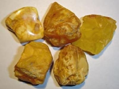 Bursztyn czy biały fosfor?