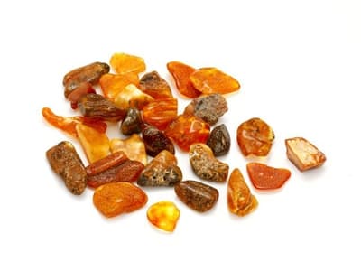 Największe zapotrzebowanie na wiedzę o bursztynie mają zagraniczni sprzedawcy