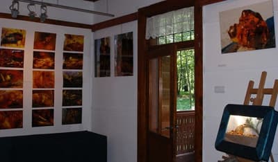 Wystawa w Rabce: fragment obrazu bursztynowo-świetlnego "Bursztynowe Serce Przyrody dla Rabki" Barbary Gronuś-Dutko