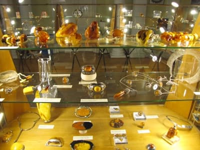 Wystawa "Bursztyn nie tylko nad Bałtykiem" w PAN Muzeum Ziemi 