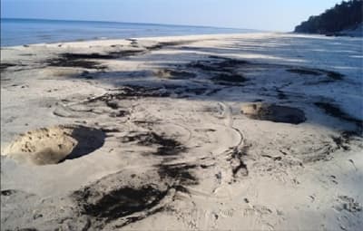 Kratery - ślady po nielegalnym wydobyciu bursztynu 