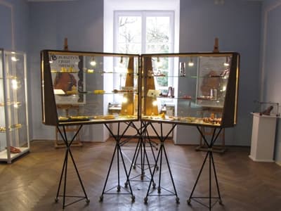 Fragment wystawy "Bursztyn i jego imitacje" w MZ PAN