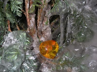 Bursztynowe Serce w Warszawie 