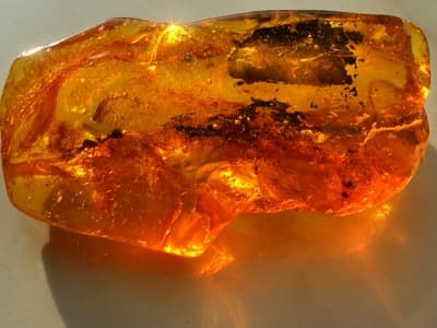 Fotografia z cyklu „Światło Bursztynu”