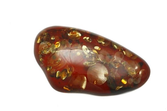 Bursztyn klarowany z łuskami 