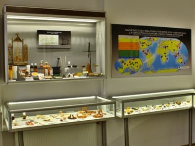 Fragment wystawy "Bursztyn Polska i świat"