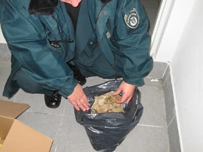 Ujawniony bursztyn na przejściu granicznym z Rosją