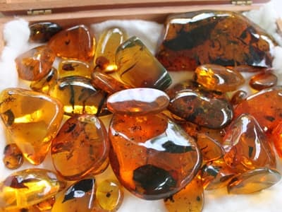 Bursztyn z Dominikany