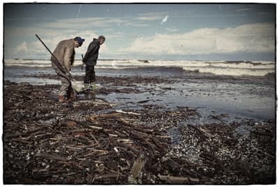 Poszukiwanie bursztynu na Wyspie Sobieszewskiej - wrzesień 2010