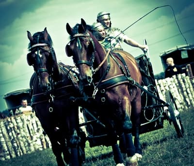 Wyścigi rydwanów w Wieluniu