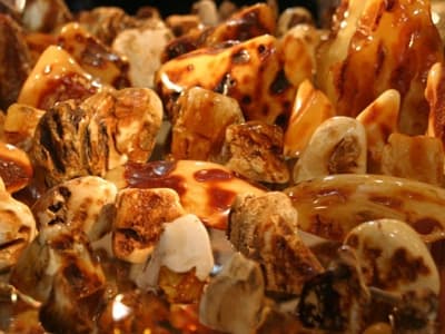 Ile bursztynu zalega w Delcie Parczewskiej? 