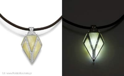 Nagrodzona praca Pawła Wasia