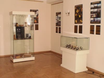 Fragment wystawy: gabloty z wyrobami i inkluzjami organicznymi 