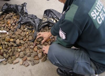 Ujawnienie niespełna 30 kg bursztynu