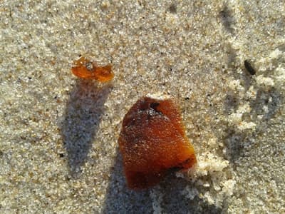 Bursztyny na plaży we Władysławowie