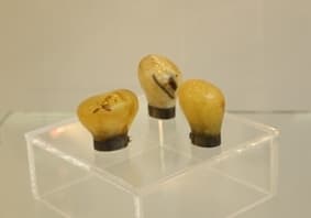 Grand Prix Ałatyr 2011 dla Knuda Barlslunda z Danii