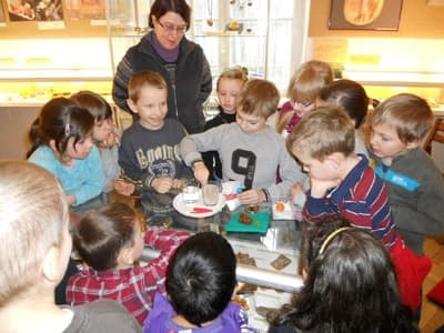 Lekcja muzealna w Muzeum Ziemi PAN w Warszawie - jedno z możliwych działań konkursowych