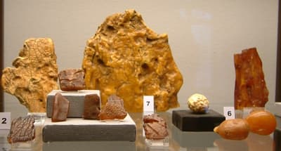 Formy bursztynowych brył 