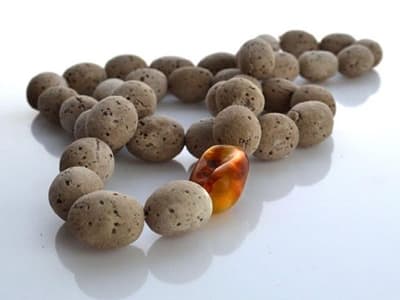 Nagroda Bursztynowa ADA2014: Tomasz Kisiel