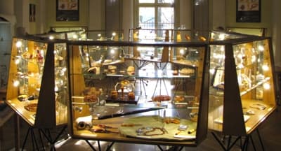 Ekspozycja bursztynu w Muzeum Ziemi PAN