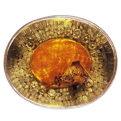 Bursztyn, diamenty i złoto - w wykonaniu Michaela Zobla