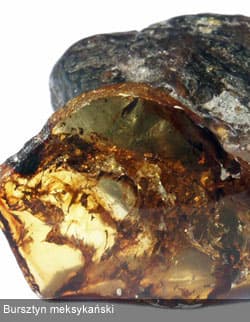 imitacje_bursztyn_5