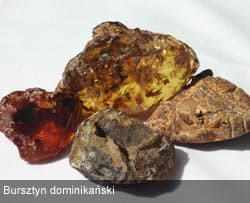 imitacje_bursztyn_6